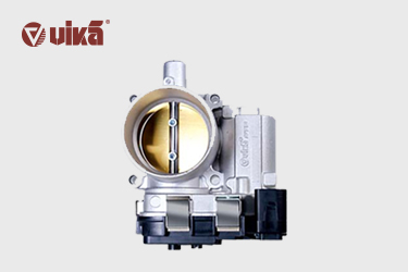 Où se trouvent les papillons des gaz ?