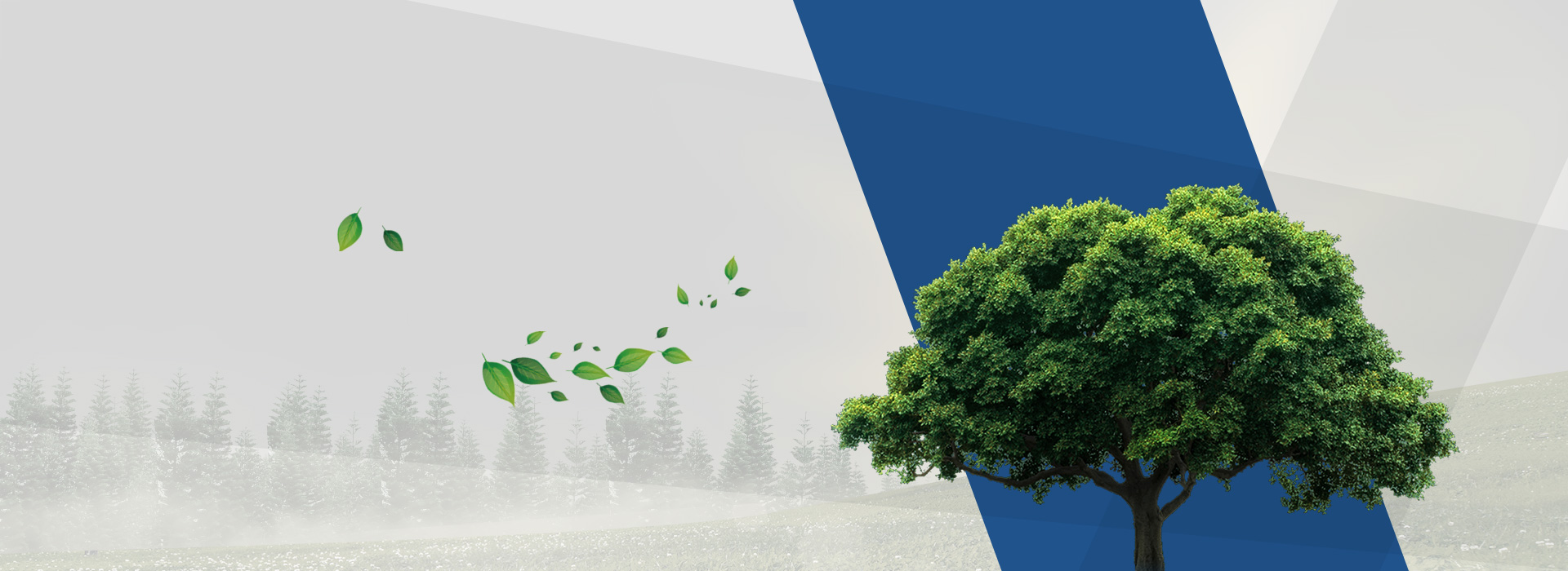 Social Responsibility