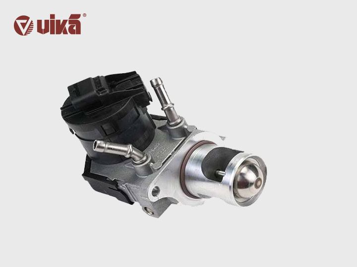 vika EGR valve