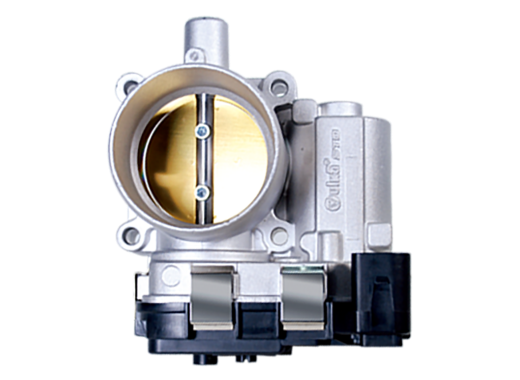 Throttle Valve